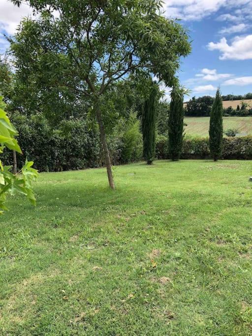 Suite Independante Au Coeur D'Un Jardin Arbore. Montaut  المظهر الخارجي الصورة